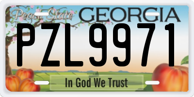 GA license plate PZL9971