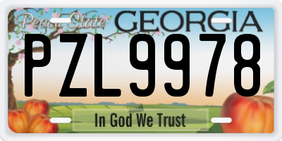GA license plate PZL9978