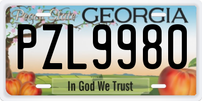 GA license plate PZL9980