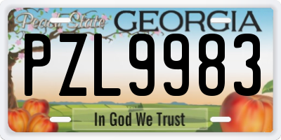 GA license plate PZL9983