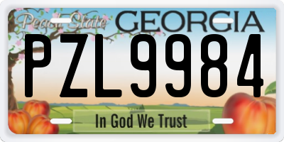 GA license plate PZL9984
