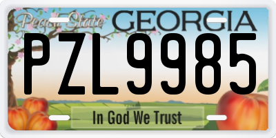 GA license plate PZL9985
