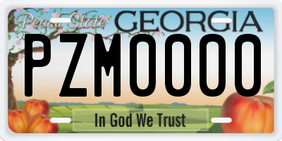 GA license plate PZM0000