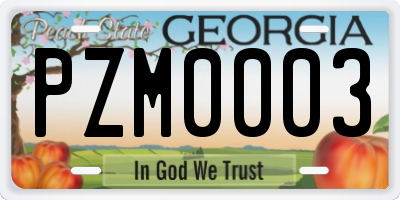 GA license plate PZM0003