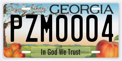 GA license plate PZM0004