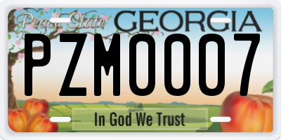 GA license plate PZM0007