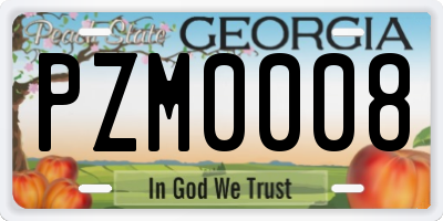 GA license plate PZM0008