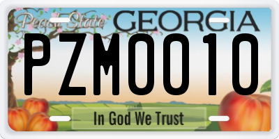 GA license plate PZM0010