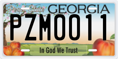 GA license plate PZM0011