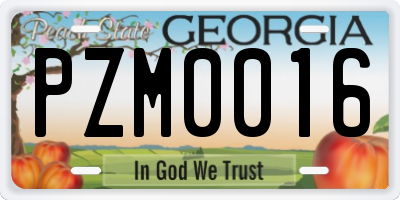 GA license plate PZM0016