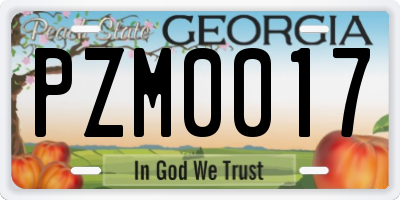 GA license plate PZM0017