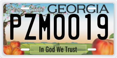 GA license plate PZM0019