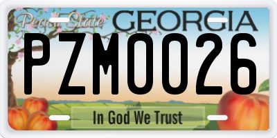 GA license plate PZM0026