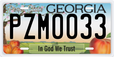 GA license plate PZM0033