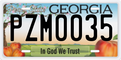 GA license plate PZM0035