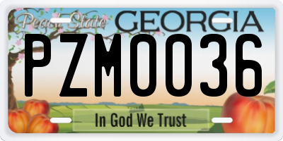 GA license plate PZM0036