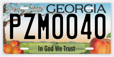 GA license plate PZM0040