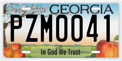 GA license plate PZM0041