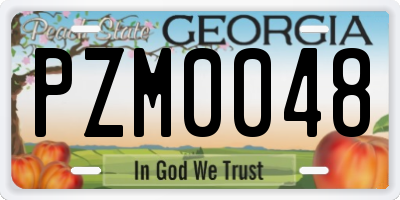 GA license plate PZM0048