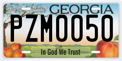 GA license plate PZM0050