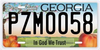 GA license plate PZM0058