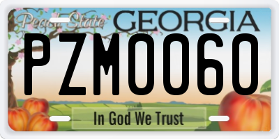 GA license plate PZM0060
