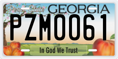 GA license plate PZM0061