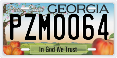 GA license plate PZM0064