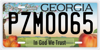 GA license plate PZM0065