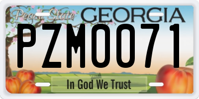 GA license plate PZM0071
