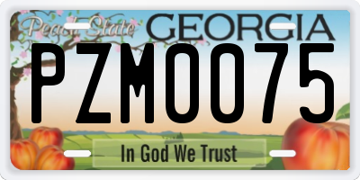GA license plate PZM0075