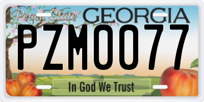 GA license plate PZM0077