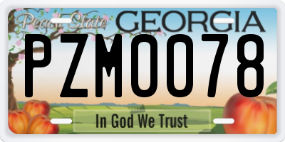 GA license plate PZM0078
