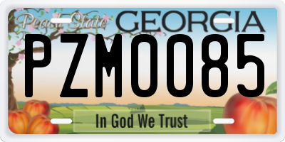 GA license plate PZM0085