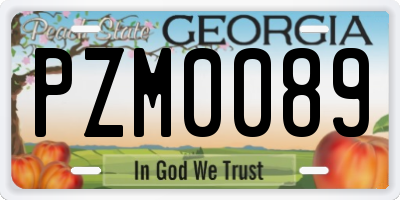 GA license plate PZM0089
