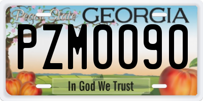 GA license plate PZM0090