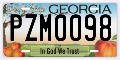 GA license plate PZM0098