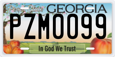 GA license plate PZM0099