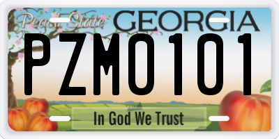 GA license plate PZM0101