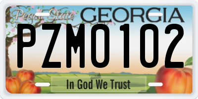 GA license plate PZM0102