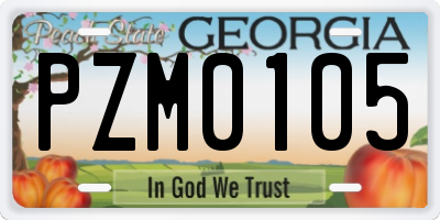 GA license plate PZM0105