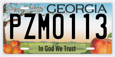 GA license plate PZM0113