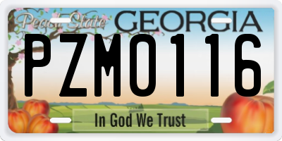 GA license plate PZM0116