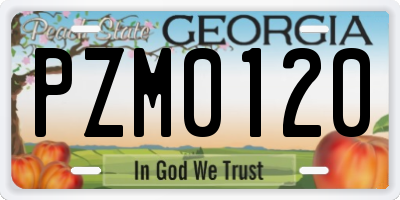 GA license plate PZM0120