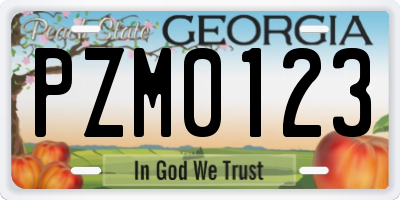 GA license plate PZM0123