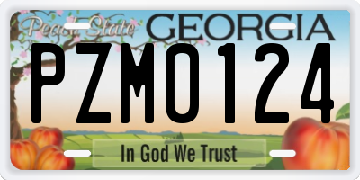 GA license plate PZM0124