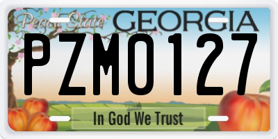 GA license plate PZM0127