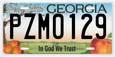 GA license plate PZM0129