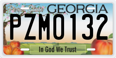 GA license plate PZM0132