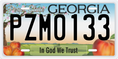 GA license plate PZM0133